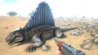 10 Amazing Facts About The DIMETRODON