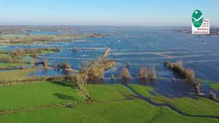 Film marais Bessin en hiver