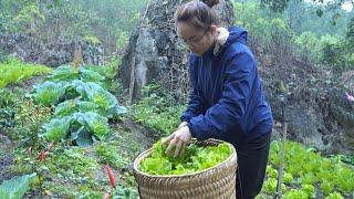 3 Months of cold, drizzly rain, bringing lettuce and custard apples to the market to sell
