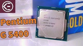 Ist INTELS NEUER 60 EURO PROZESSOR GUT? Pentium Gold G5400 Review