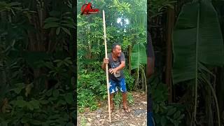 Mau ketawa takut dosa video lucu bikin ngakak hiburan warga+62 funny videos viral video