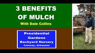 3 BENEFITS OF MULCH with Dale Collins at Presidential Gardens Backyard Nursery.