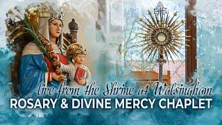 LIVE | Divine Mercy Chaplet and Rosary - 22nd November 2024