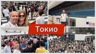 #17 Ужас на выходе с лайнера в Йокогаме, толпа бунтует. Токио, Сибуйя! От нас отказалась экскурсовод