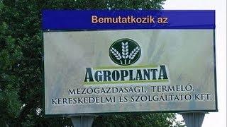 A szegedi Agroplanta Kft.-nél jártunk 2014-ben