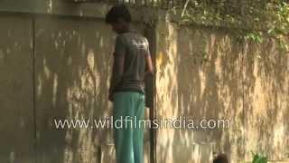 Roadside Peeing in India - when will we ever learn?
