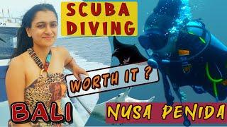 SCUBA DIVING in most BEAUTIFUL ISLAND Nusa Penida ️Bali  Trip Ep 4 |  Best Bali Travel vlog
