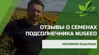 РЕАЛЬНЫЕ ОТЗЫВЫ глав КФХ и агрономов о гибридах подсолнечника Нусид (по корзинке).