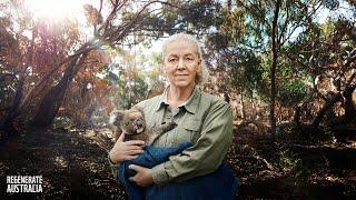 Regenerate Australia | WWF-Australia