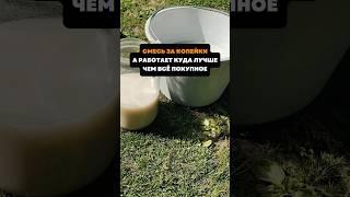 Смесь за копейки,а работает куда лучше ,чем все покупное#дача#сад