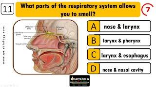 Quiz on Respiratory System || Interactive MCQ on Respiratory System