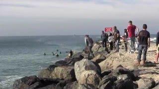 South Mission Beach Jetty Channel Surfing Film