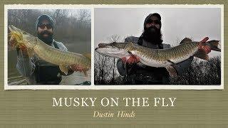 Midwest Fish finder Episode 3: Musky on the Fly with Dustin Hinds