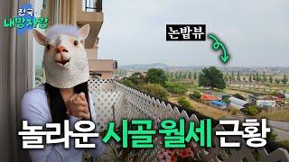 왜냐면 더 싸거든요^^ 놀라운 지방 월세 근황ㅣ충남 서산 14평 투룸ㅣ전국내방자랑 ep.5