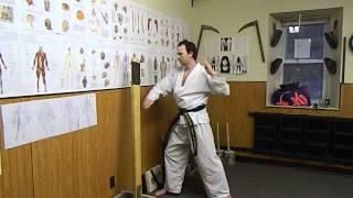 Grandmaster Justin Powell Demonstrates Basic Makiwara Conditioning