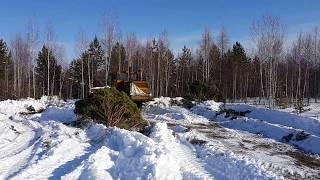 Расчистка заросшего поля зимой. Поднятие залежных земель.