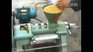 6YL -68 screw oil pressing machine