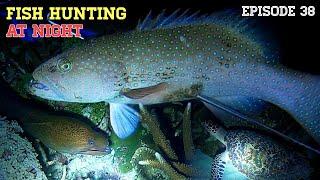 NIGHT SPEARFISHING EPISODE 38 | FISH HUNTING AT NIGHT