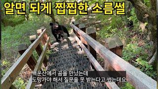 모르고 살아도 되지만 알면 되게 찝찝한 소름썰들