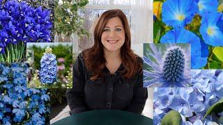 20+ Plants With Blue Flowers! // Garden Answer