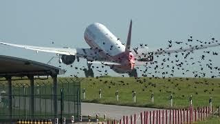 Impressive Takeoff TAAG Angola Airlines Boeing 777-3M2(ER) At Lisbon Airport