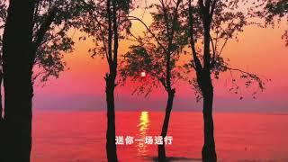 冷门但是很好听的歌曲 —— 【张子薇】《两棵树》 我以枝叶相赠 你却话我 草木本无情