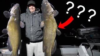 GIANTS OF THE DEEP. Monster CATFISH of Georgian Bay. 70-100 FOW. Fox Fishing 4K ULTRA HD.