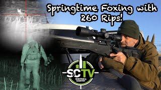 S&C TV Mark Ripley (260 RIPS) Episode 33 - Springtime Foxing