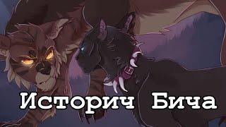 История Бича/Коты-воители