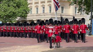 Troops and Massed Bands Enter Horse Guards Parade For Trooping the Colour