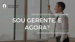 SOU GERENTE, E AGORA?