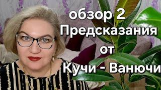 Предсказания от Кучи - Ванючи