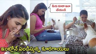 Samantha Home Veggie Garden Tour | Akkineni Samantha House Tour | Samantha Terrace Garden