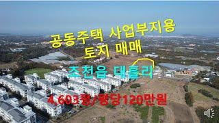 [제주빠빠]제주도부동산｜ 공동주택사업부지용 ｜조천읍 대흘리 4,603평 매매가 평당120만원 010-3318-5088