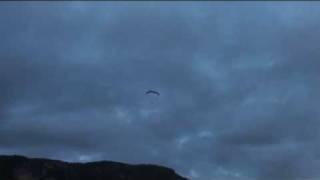 Lee Tryhorn performing acro on his paraglider, FlySpain, Algodonales, CP course, April 2010