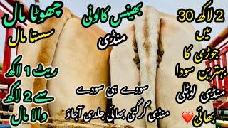 Bhains Colony Mandi Karachi Cattle Rates Update️ || 30 may 2025 || Cow Mandi 2025 