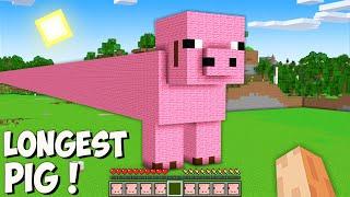 This is THE LONGEST SECRET PIG in Minecraft! I found THE BIGGEST RARE MOB!