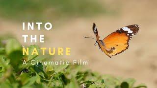 Into The Nature  - A Cinematic Film by TraverseXP India | Sony a6100 | HD