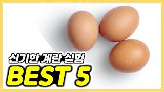 집에서 따라할 수 있는 놀라운 계란 실험 BEST 5