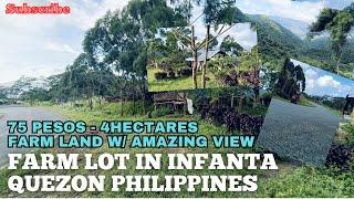 #vlog195 FARM LOT WITH AMAZING OVERLOOKING VIEW IN PHILIPPINES ALONG NATIONAL ROAD - MARILAQUE