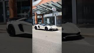 Lamborghini Aventador SV  #shorts #cars #hypercar #supercar #lamborghini #v12 #aventador #sv