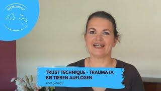 Trust Technique® - Traumata bei Tieren auflösen - nachgefragt!