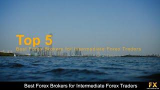 Best Forex Brokers for Intermediate Forex Traders