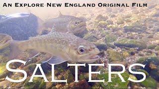 Salters: The Sea Run Brook Trout  of Red Brook