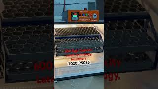 600 Eggs capacity Incubators #agriculture #business #eggincubator