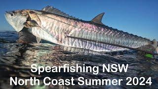 Spearfishing North Coast NSW Summer 2024