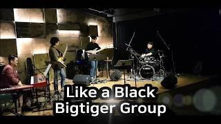 [BigtigerGroup-Offical] Like a black