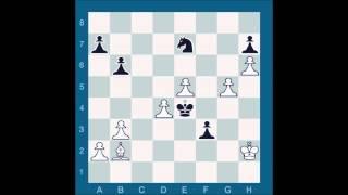 ChessMaster GME: Waitzkin J vs Shabalov A