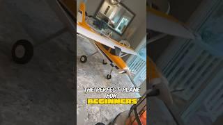 Best Beginner RC Airplane of 2024 