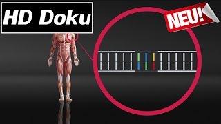 Doku (2017) - Gentechnik: Neue Hoffnung in der Medizin - HD/HQ